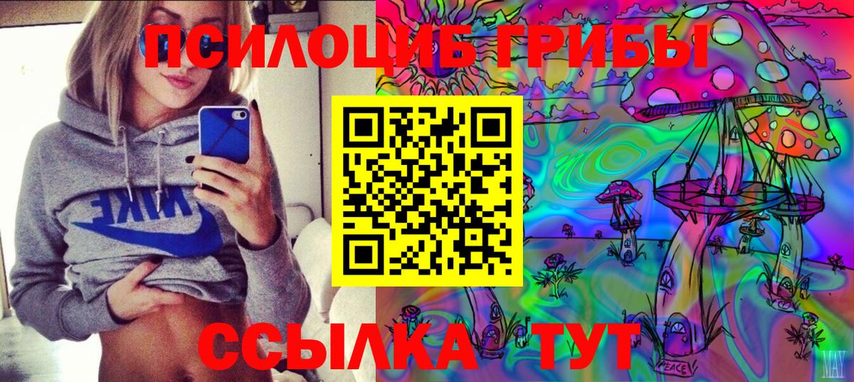 Псилоцибиновые грибы GOLDEN TEACHER  Галлюциногенные грибы Psilocybine cubensis  Вход с VPN  Славгород 